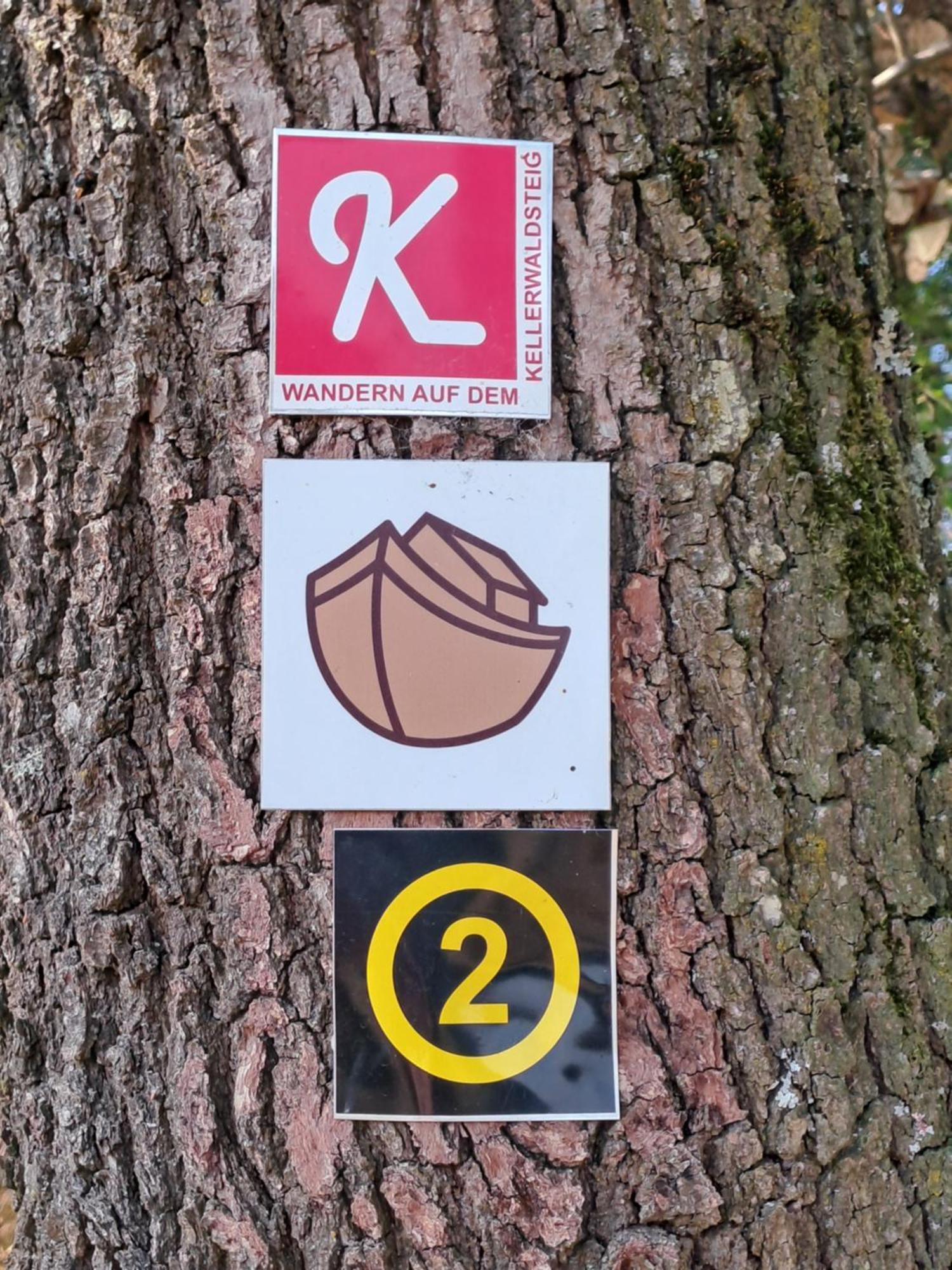 Ferienwohnung Schaefer Am Nationalpark Kellerwald Frankenau Exterior foto